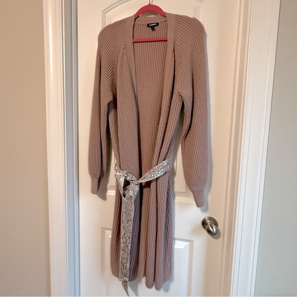Express Mauve Ribbed Knit Sweater with Sequin Tie Belt